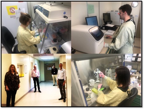 photos of lab researchers