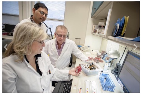 picture of 3 scientists in a lab