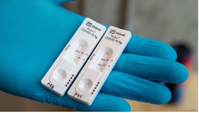 gloved hand holding 2 rapid tests