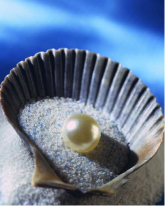 The Pearls for Achieving a State of Aequanimitas