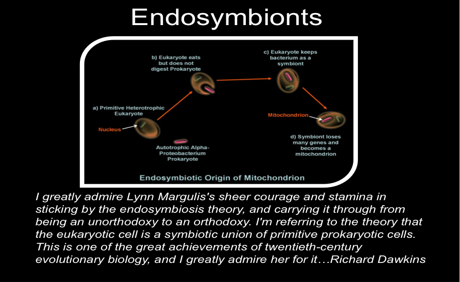 endosymbionts