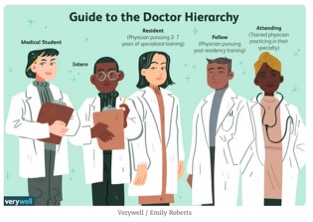 animated photo of 5 people labelled at as medical hierarchy