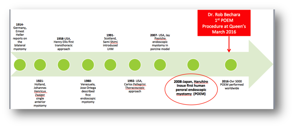 Timelines of Therapy