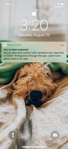 iPhone screenshot of covid alert