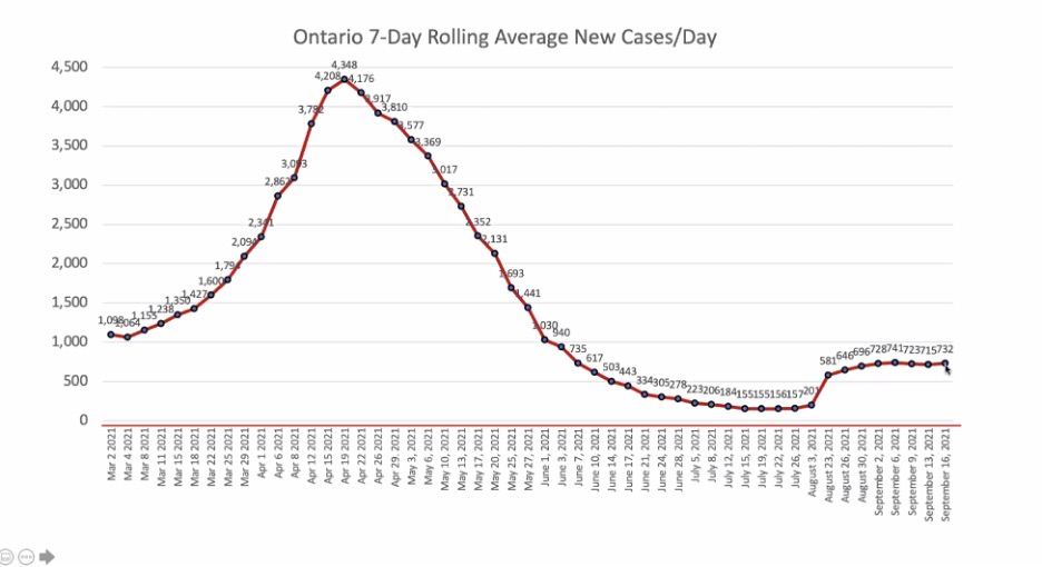 red line graphs with blue dots