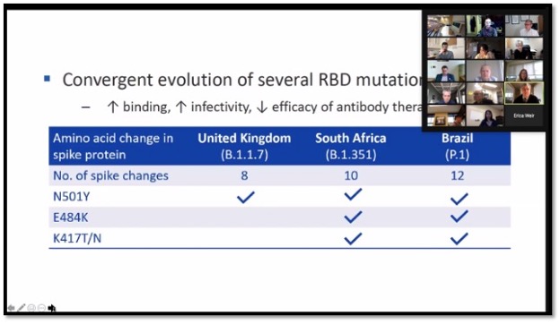 slide of RBD mutations on a zoom call