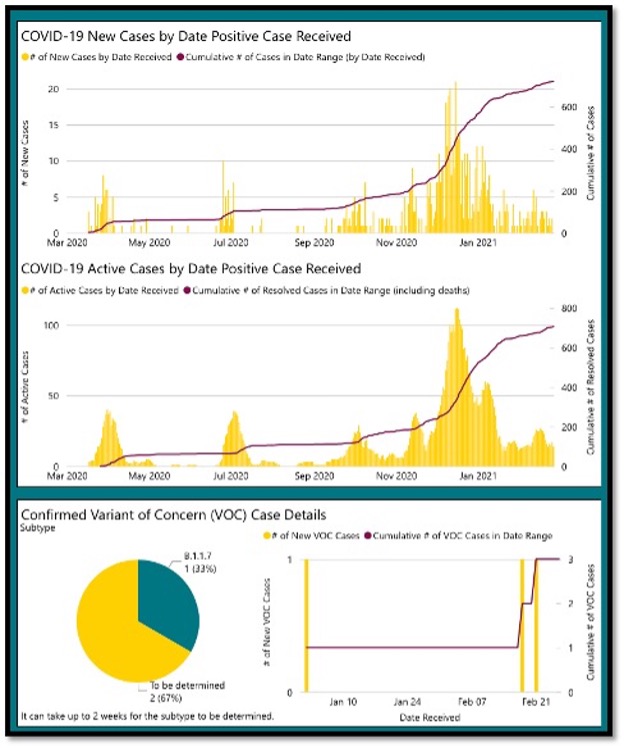 2 yellow bar graphs on top of each other with a pie graph below