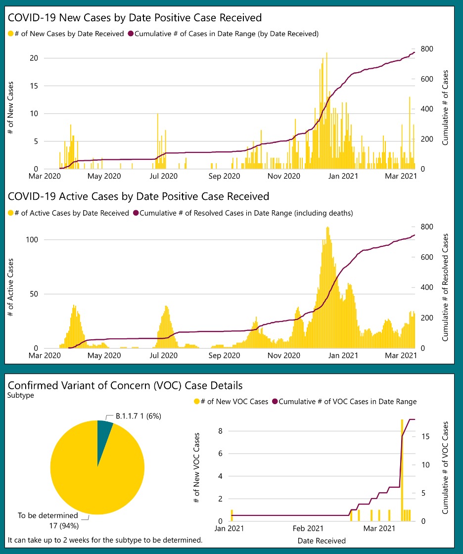 line bar and pie graphs with covid data