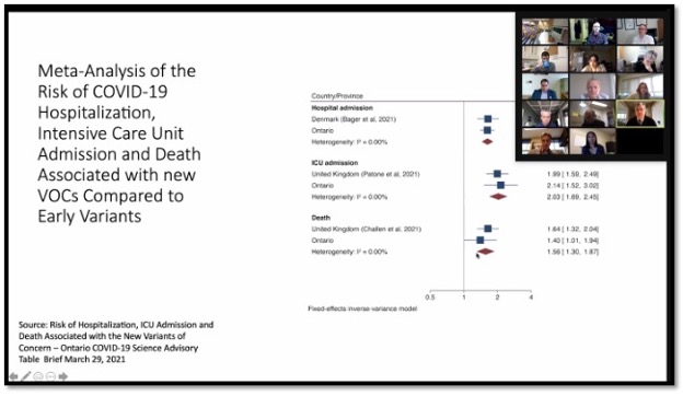 slide of meta analysis of the risk of covid 19 on a zoom call