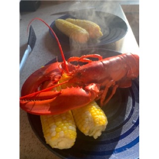photo of dinner plate with 2 cobs of corn and a whole lobster