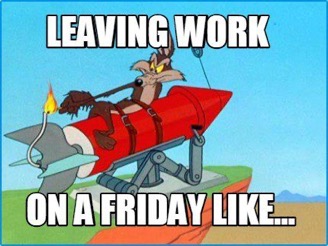 cartoon of Wiley Coyote on a rocket