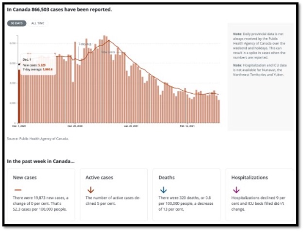 pink coloured bar graph