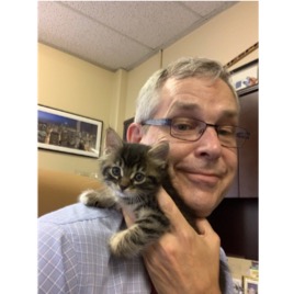 photo of man holding a kitten on his shoulder