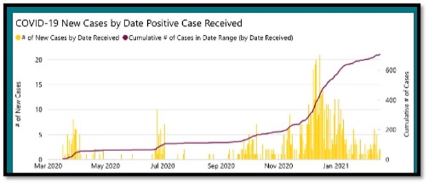 yellow bar graph with red line graph of new cases in KFL&A