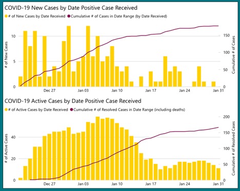 yellow bar graphs showing cases in KFL&A