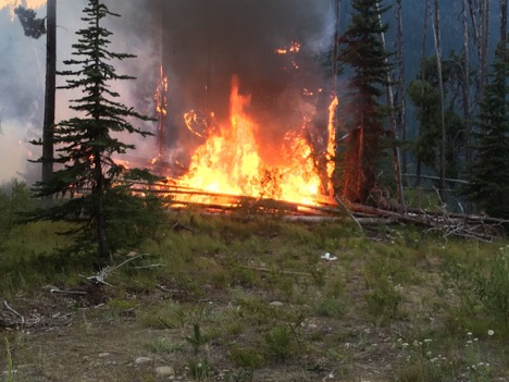 picture of a forest fire