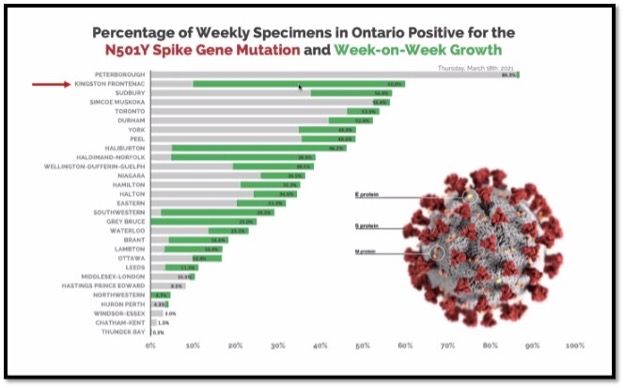 grey and green horizontal bar graph with grey and red covid virus picture