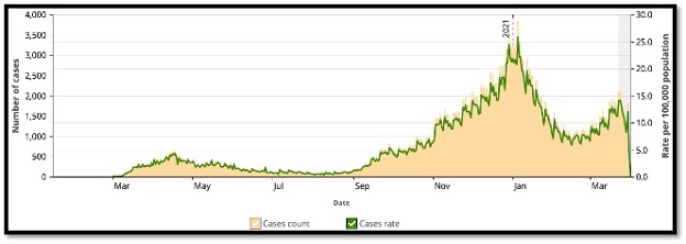 salmon and green graph