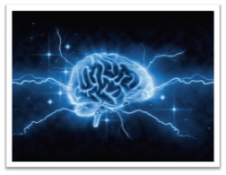 animation of a brain