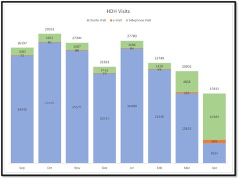 graph showing types of HDH Visitsover the past 8mos