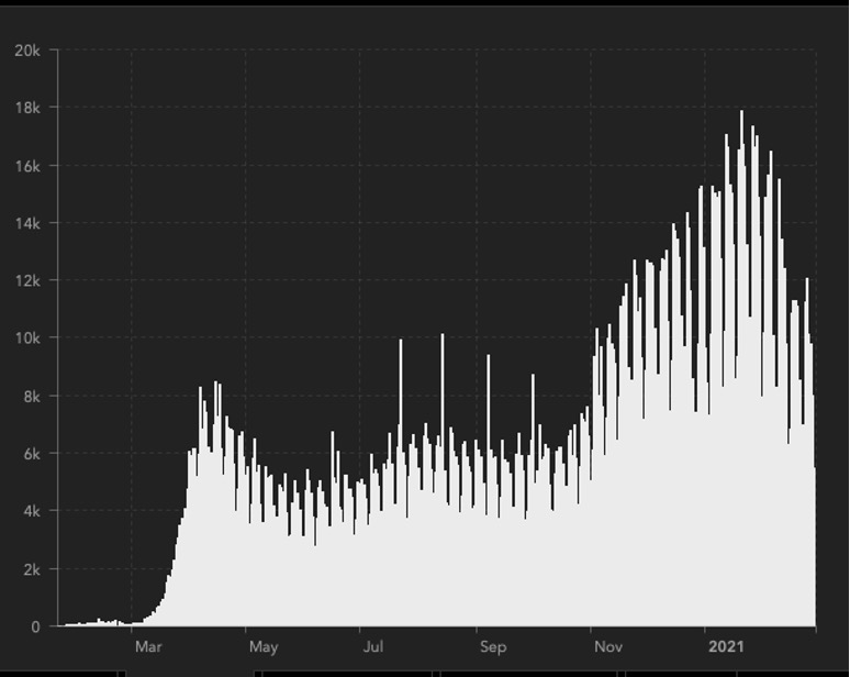 black and white bar graph showing decline in daily deaths from covid-19