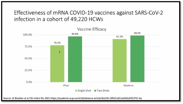 light and dark green bar graphs
