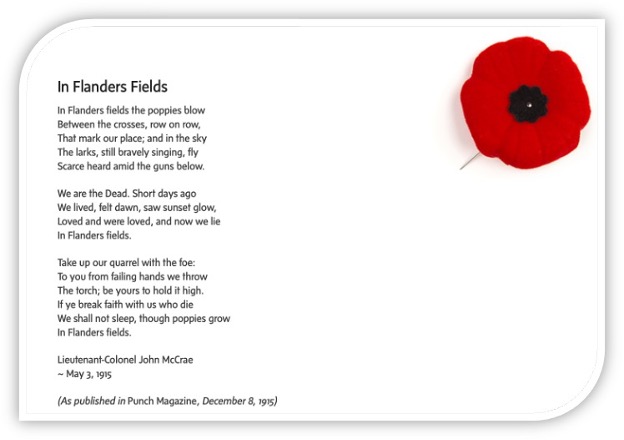 Flanders field poem and a picture of a poppy