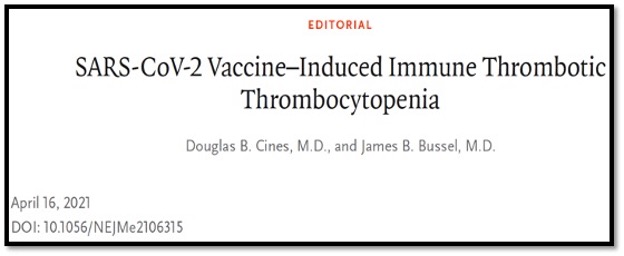 editorial title on VIIT