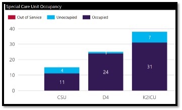 bar graph purple and blue in colour showing critical care capacity at KHSC