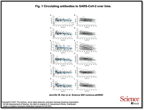 Research data showing IgG antibodies