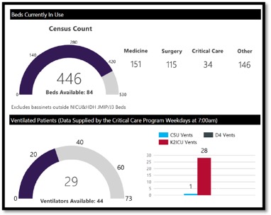 graphs and numbers for KHSC bed capacity