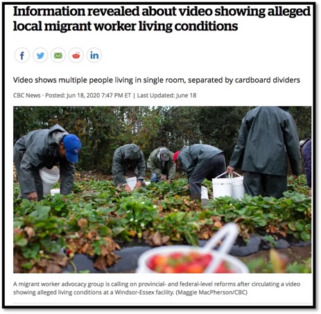 Screenshot of News article titled: Information revealed about video showing alleged local migrant worker living conditions