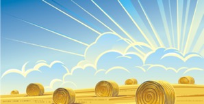 photo of sun rays in a hay field