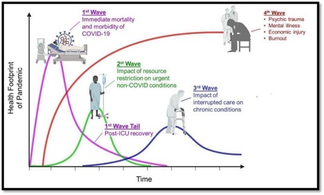 Health Footprint of Pandemic