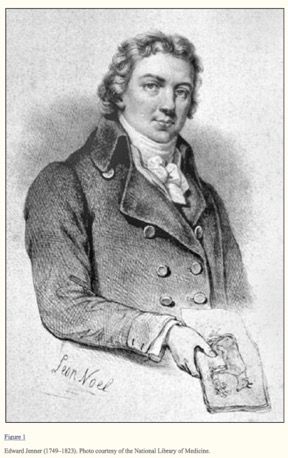 sketch of Edward Jenner holding a drawing of a cow