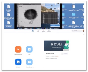 screen shot of hacked zoom call
