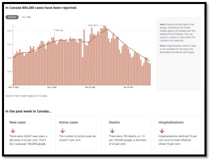 pink coloured bar graph