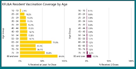 horizontal bar graphs showing who has been vaccinated in kfl&A