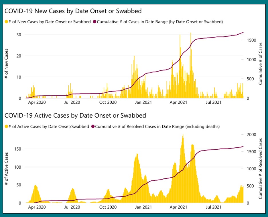 two yellow bar graphs with red line graph