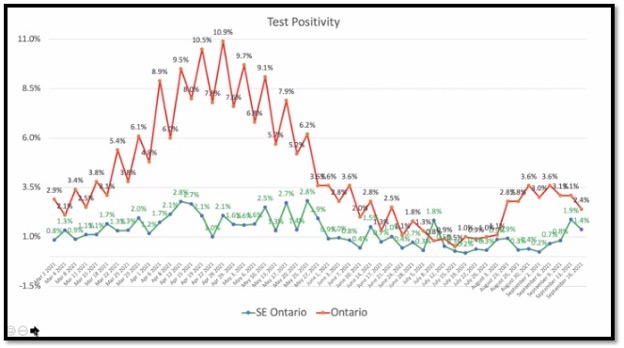 red and green line graphs with dots