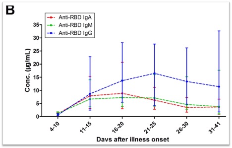 show the time course of the best performing antibodies (those against the RBD spike) 