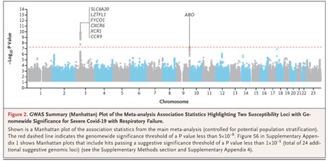 GWAS Summary Plot