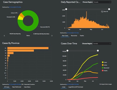 chart showing case demographics in Canada by province