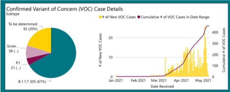 pie and bar graphs showing  increase in variant of concern covid cases