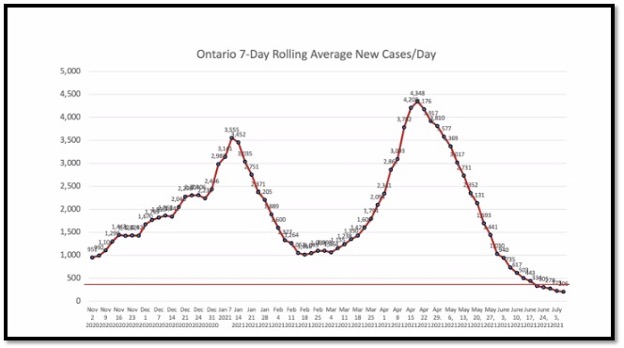 red line graph with black dots