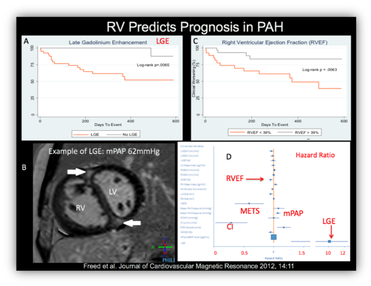 chart showing how RV predicts prognosis in PAH