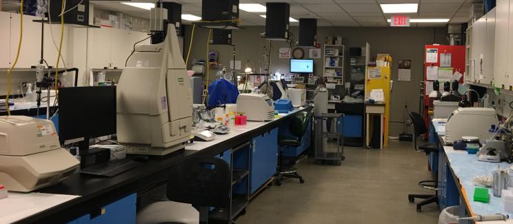 Dr. Archer's Lab