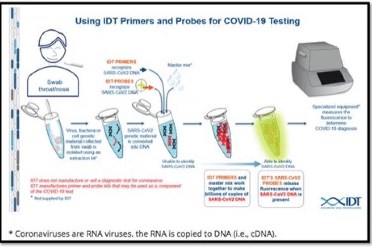 flow chart showing testing process with test tubes