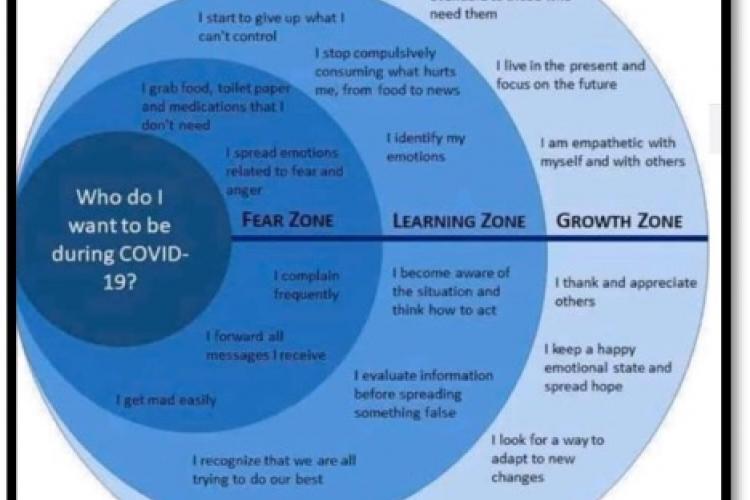 graph of options of who you want to be during the pandemic
