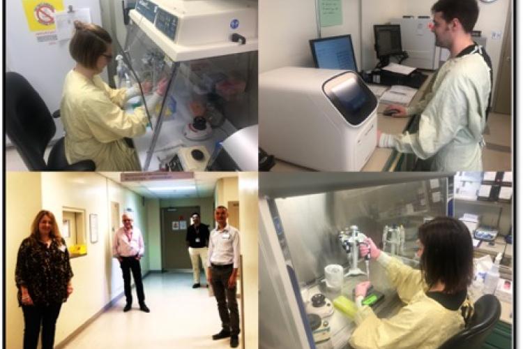 photos of lab researchers